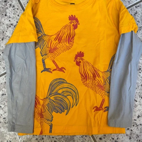 Tea Collection- four long sleeve shirts - Picture 3 of 5